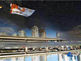 Photographie, Goldfish, Jonathan Dy