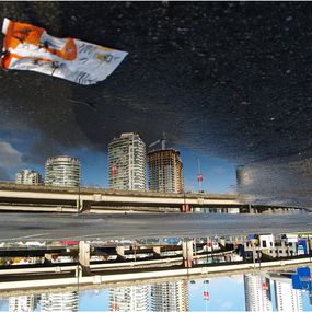 Photography, Goldfish, Jonathan Dy