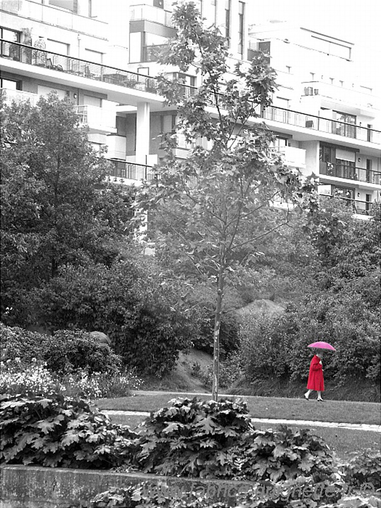 Fabrice Quignette, Chaparapluie rouge Fabrice Quignette, Chaparapluie rouge
