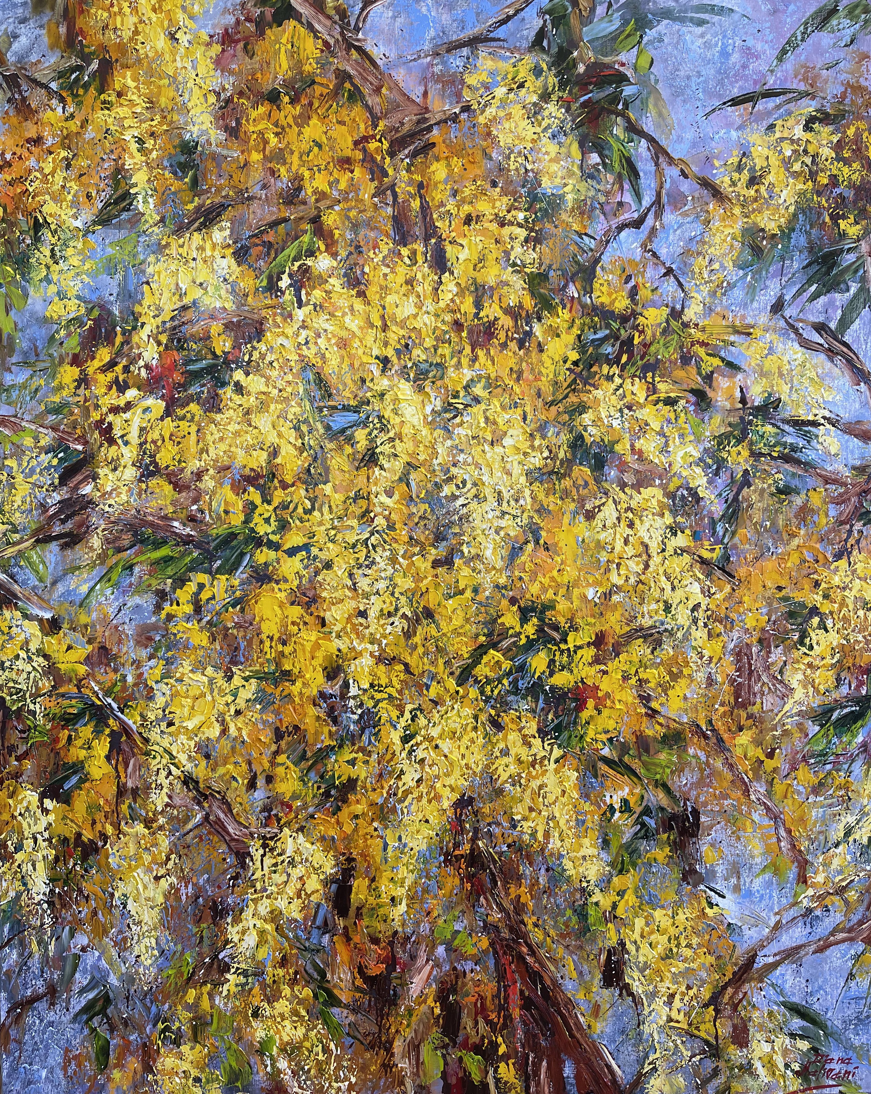 Diana Malivani, March. Mimosa Diana Malivani, March. Mimosa