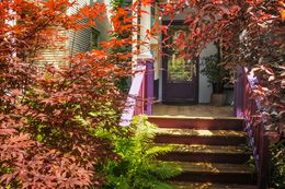 Photographie, Front Porch and Foliage, Wisconsin USA, Dennis Church