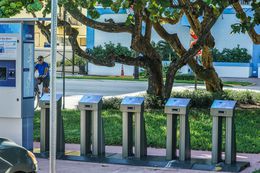 Photographie, Bicycle Station and Trees, Florida USA, Dennis Church