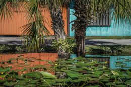 Photographie, Pond, Palms, and Fences, Florida USA, Dennis Church