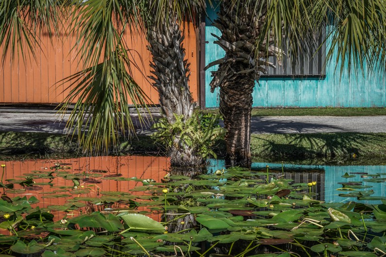 Dennis Church, Pond, Palms, and Fences, Florida USA Dennis Church, Pond, Palms, and Fences, Florida USA