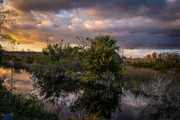 Photographie, The Everglades, South Florida, Dennis Church