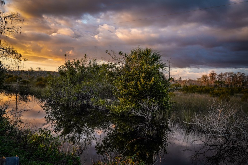 Dennis Church, The Everglades, South Florida Dennis Church, The Everglades, South Florida