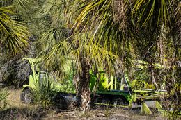 Photographie, Auto Transport Truck in Palm Grove, Florida, Dennis Church