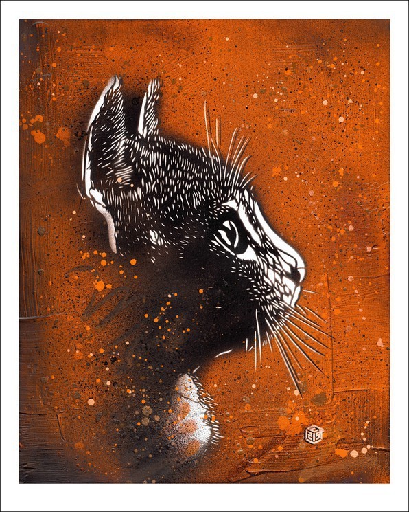 C215, Felix (Orange) C215, Felix (Orange)