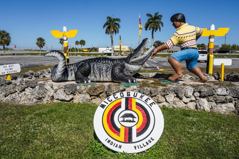 Dennis Church, Aligator Sculpture, Florida Everglades Dennis Church, Aligator Sculpture, Florida Everglades