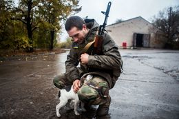 Friends in the war-zone, David Tesinsky
