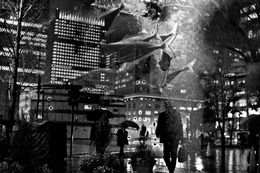 Photographie, Flowing as fishes (black and white), David Tesinsky