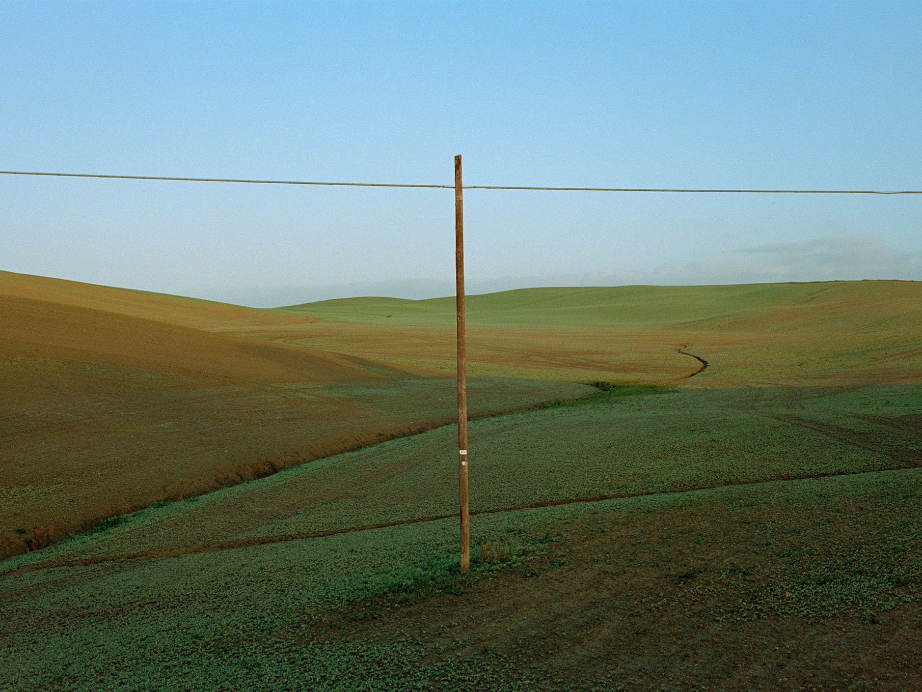 Fabrizio Alzati, Telephone pole Fabrizio Alzati, Telephone pole