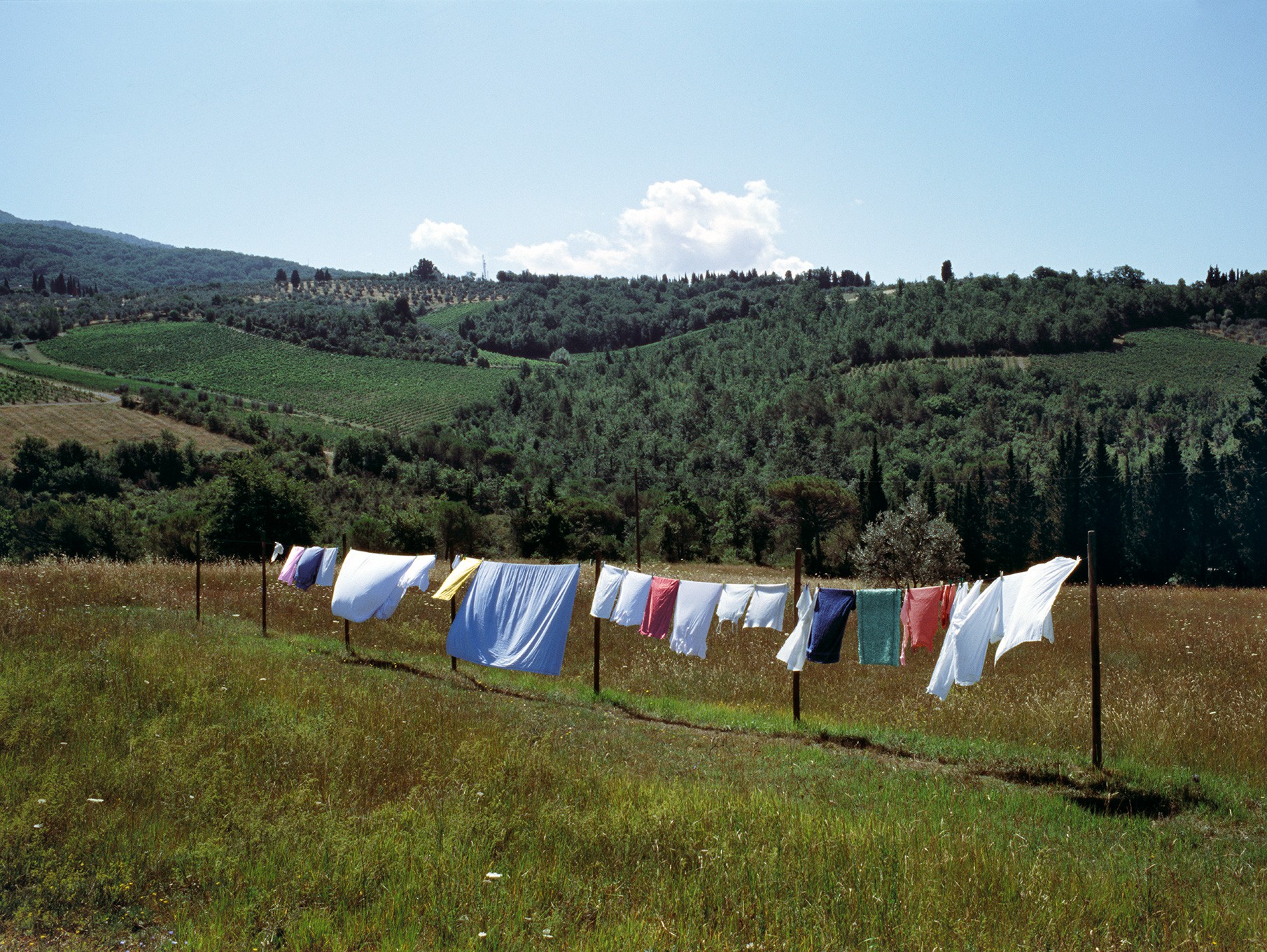 Fabrizio Alzati, Just washed Fabrizio Alzati, Just washed