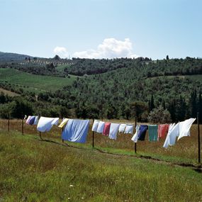 Photography, Just washed, Fabrizio Alzati