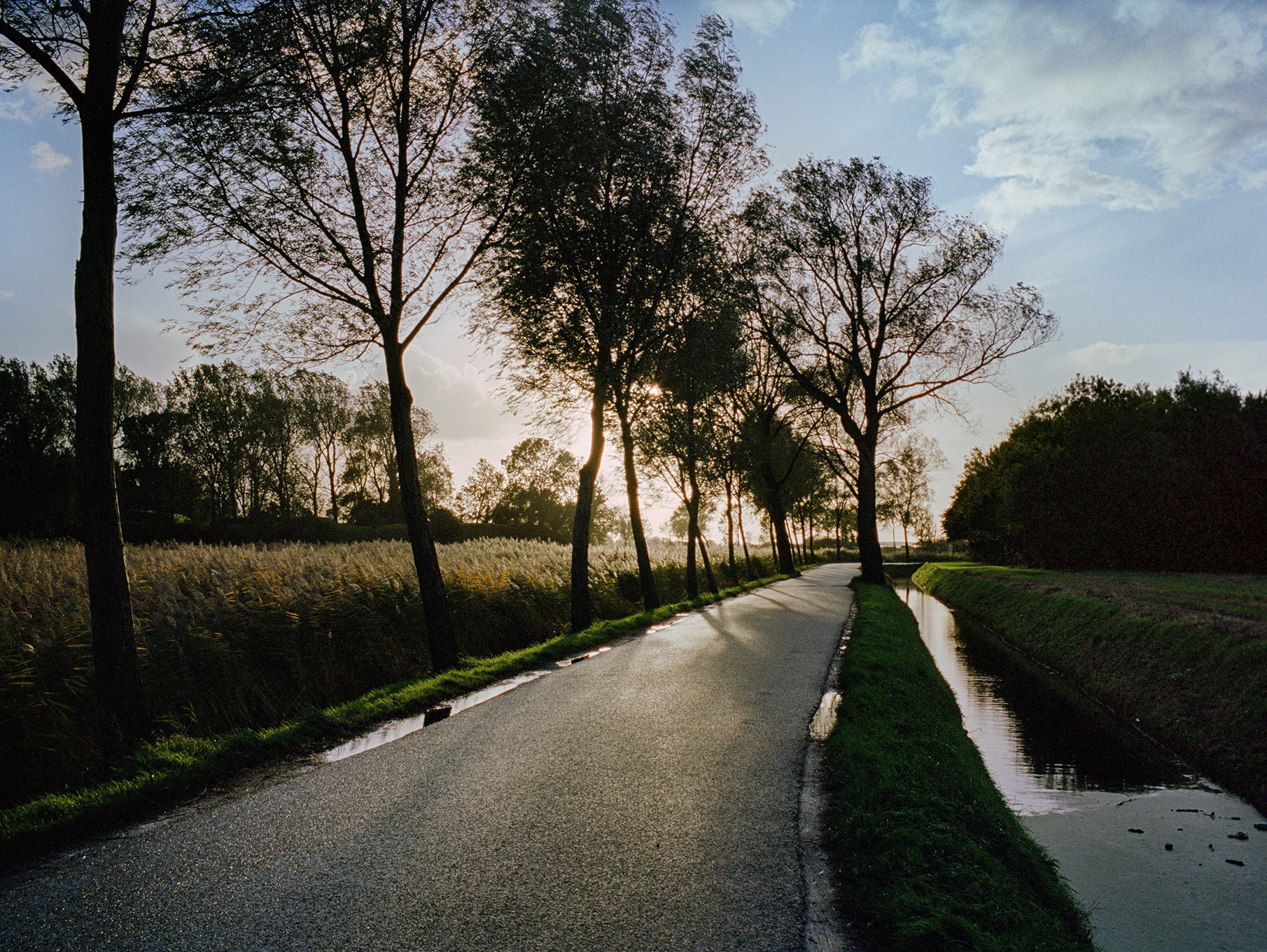 Fabrizio Alzati, Zeeuws Vlaanderen Fabrizio Alzati, Zeeuws Vlaanderen