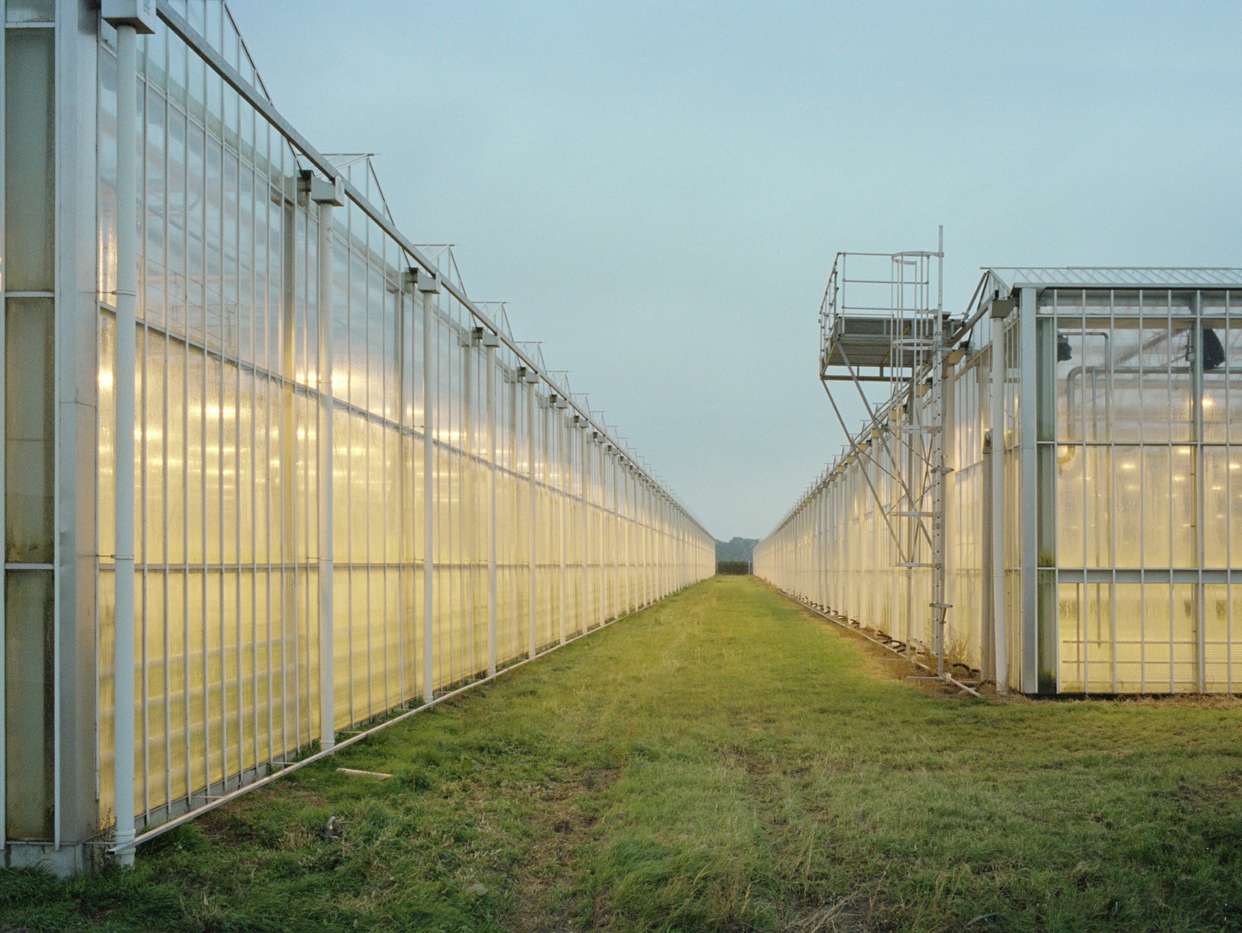 Fabrizio Alzati, Green houses Fabrizio Alzati, Green houses