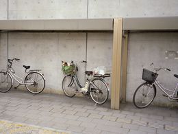 Photographie, Parked, Fabrizio Alzati