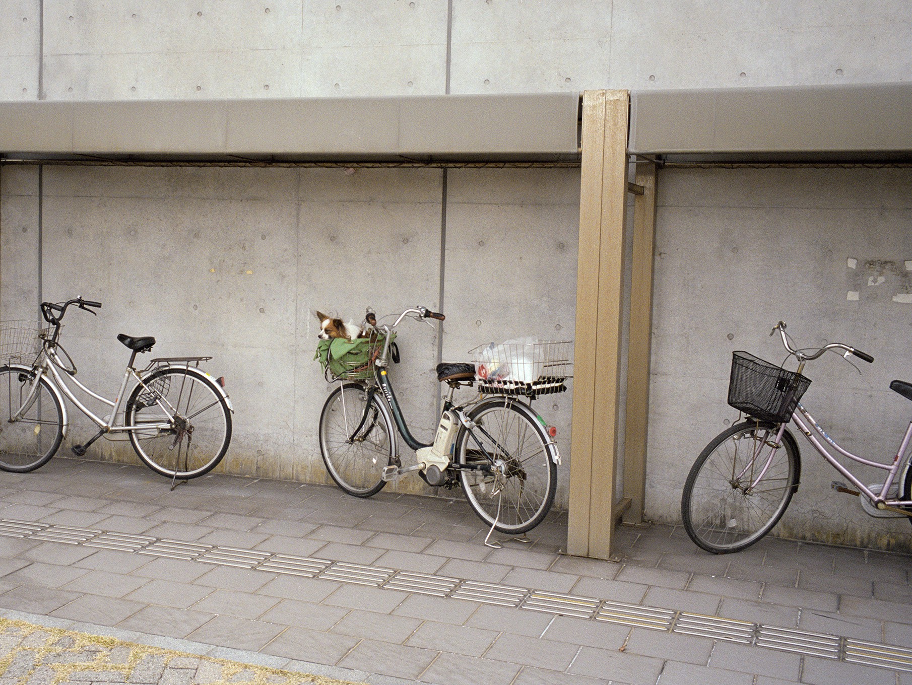 Fabrizio Alzati, Parked Fabrizio Alzati, Parked