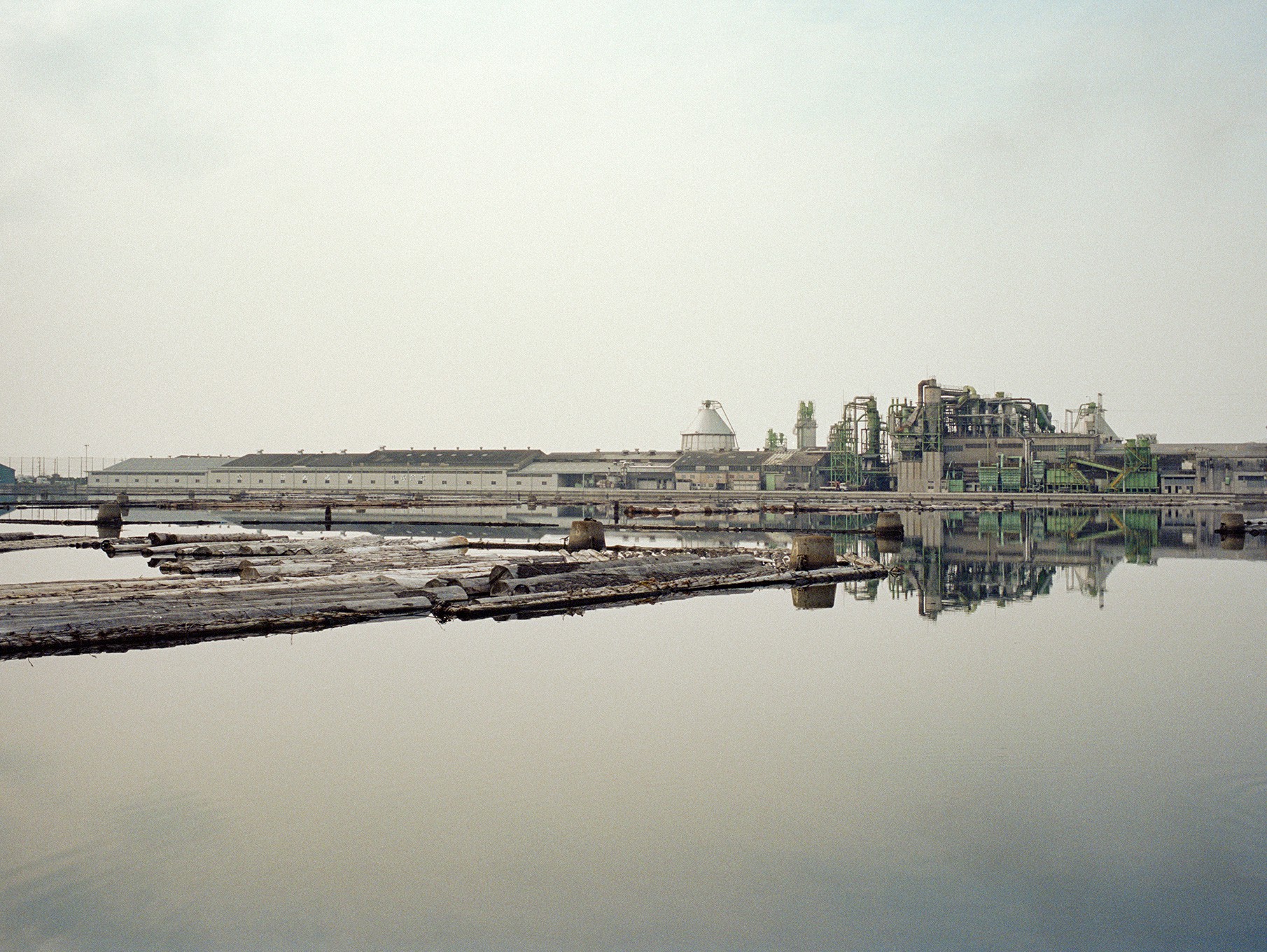 Fabrizio Alzati, Kishiwada Fabrizio Alzati, Kishiwada