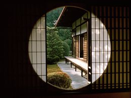 Photographie, Shigemori, Fabrizio Alzati