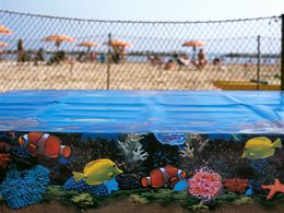 Photographie, Tropical tablecloth, Fabrizio Alzati