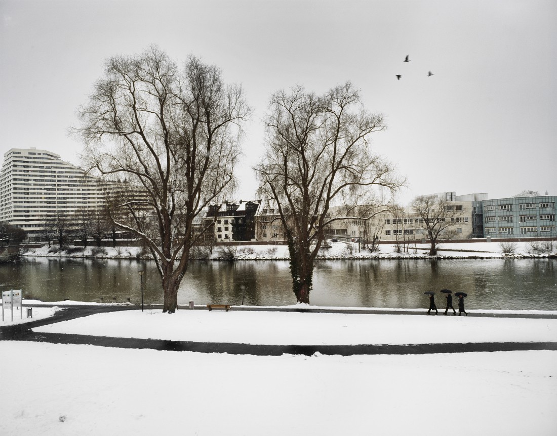 Marco Bulgarelli, Birds, Germany Marco Bulgarelli, Birds, Germany