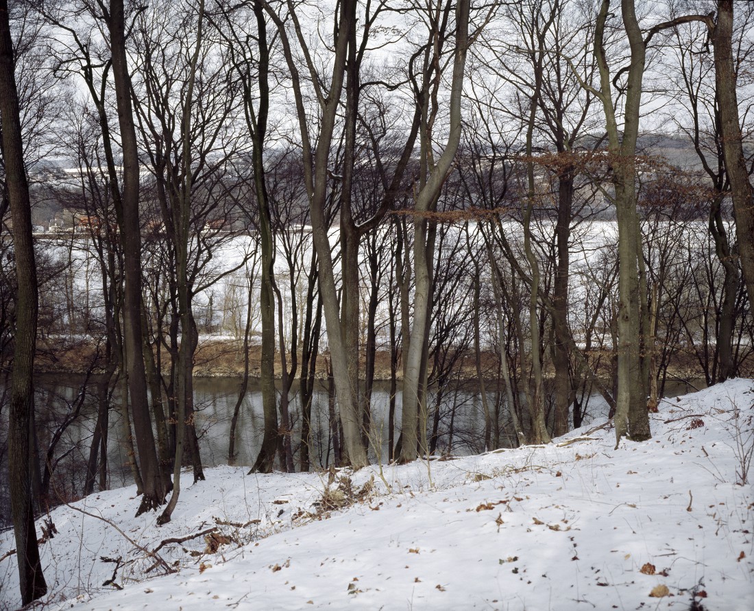 Marco Bulgarelli, Trees, Germany Marco Bulgarelli, Trees, Germany
