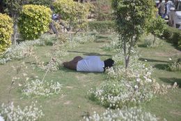 Fotografien, La méridienne, India, Hervé All