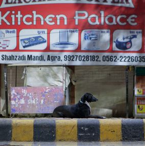 Photographie, Hle sphinx, India, Hervé All