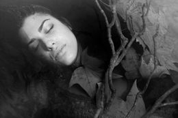 Photography, Laura, Maria Semmer