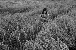 Photography, The Nature Lover, Maria Semmer