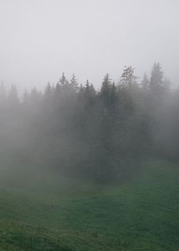 Alps XXIX., Germany, Mihály Demeczky