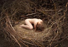 Photographie, Nest, Maria Semmer