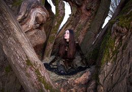 Photographie, Weidennest, Maria Semmer