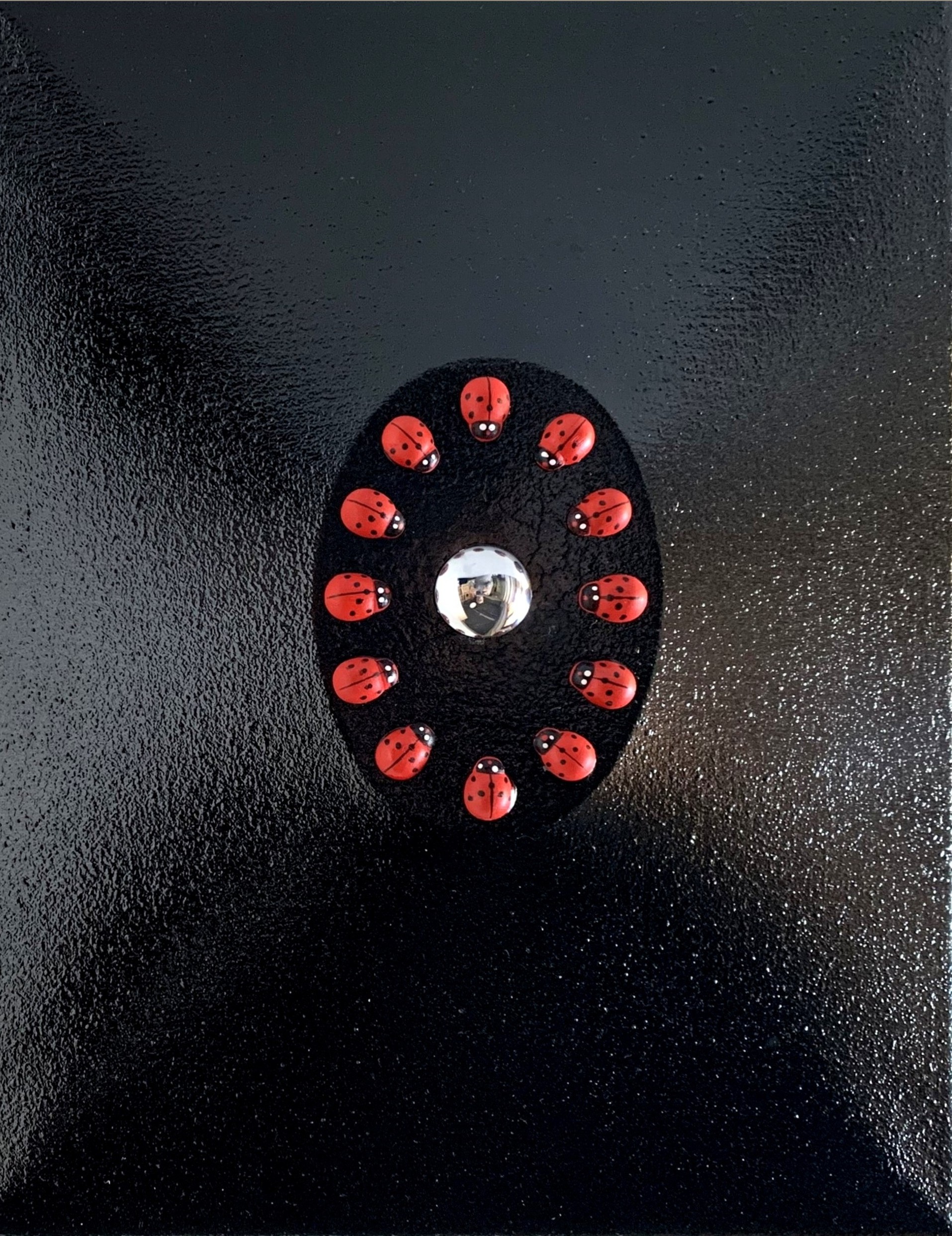 Lotario, Le coccinelle ci porterano fortuna - AXK Lotario, Le coccinelle ci porterano fortuna - AXK