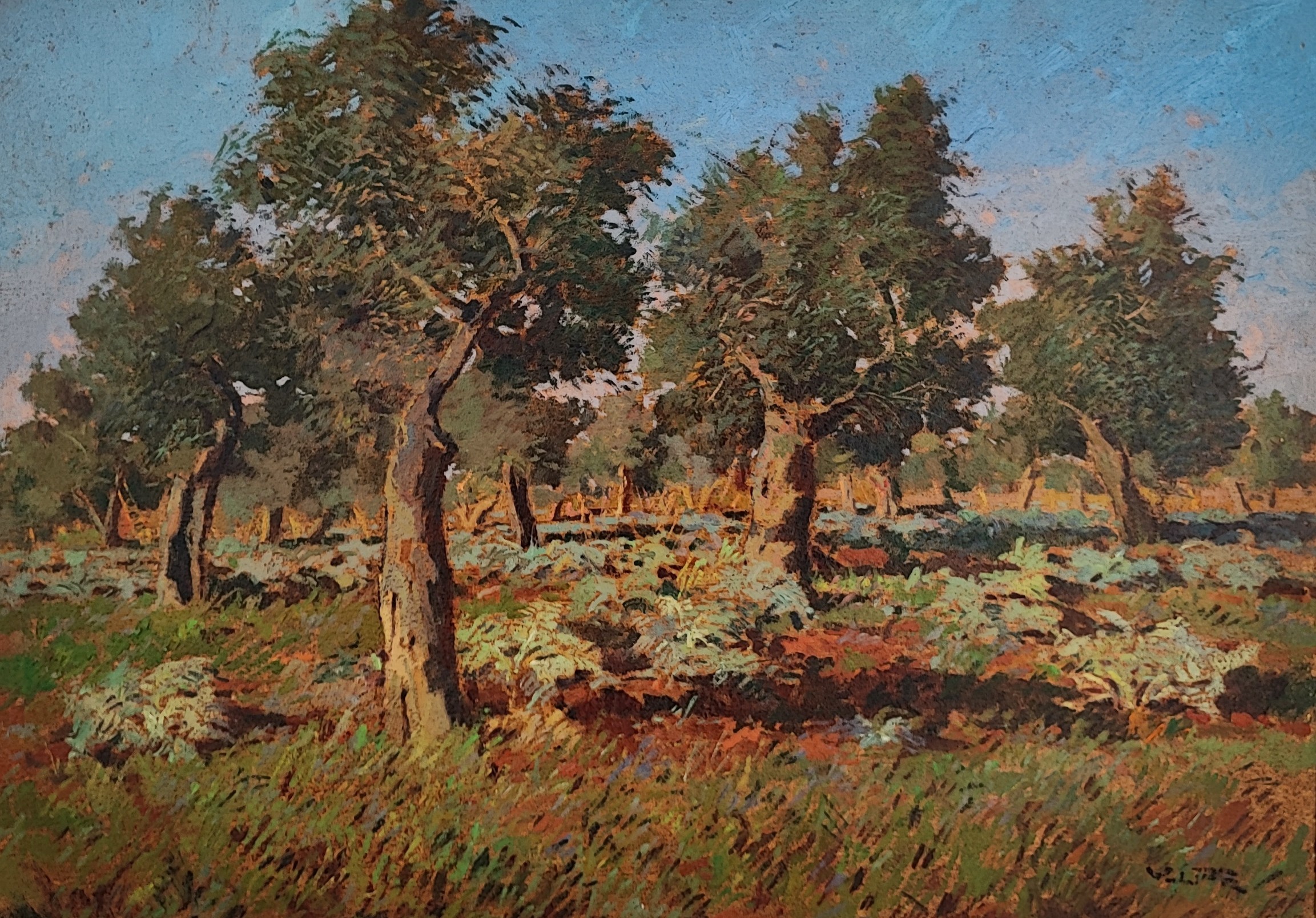 Angiolo Volpe, Livorno Salviano Uliveta con carciofaio Angiolo Volpe, Livorno Salviano Uliveta con carciofaio