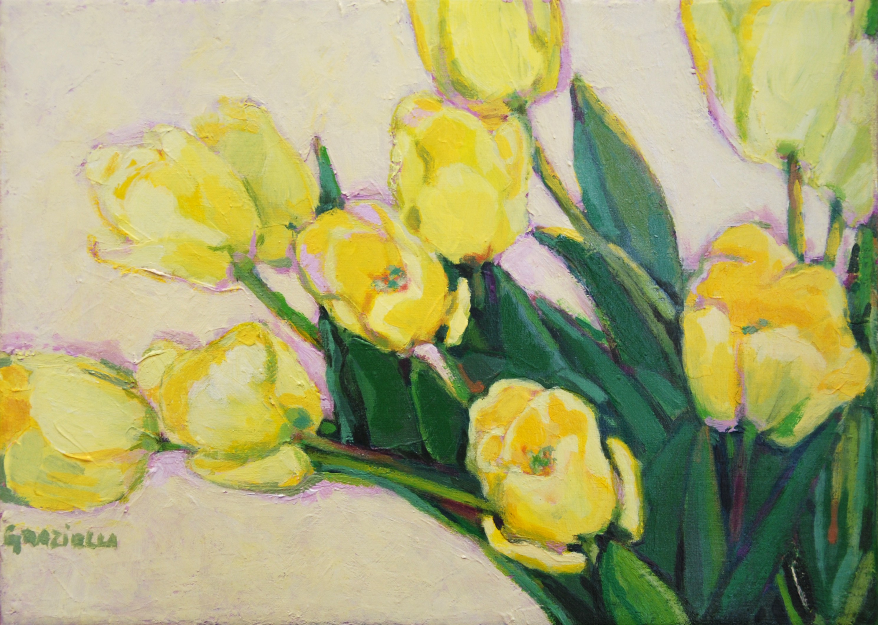 Graziella, Tulipes jaunes Graziella, Tulipes jaunes