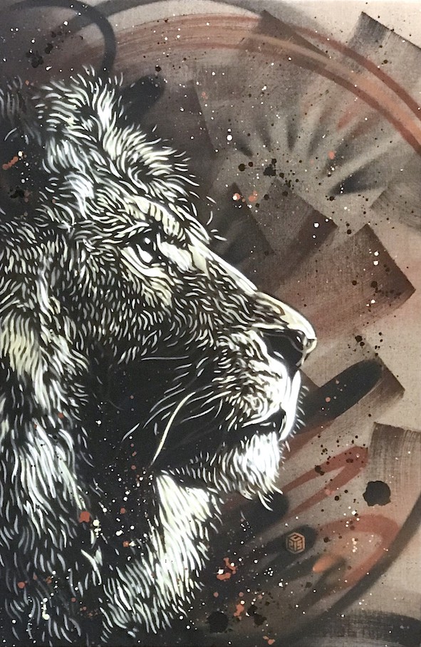 C215, Lion C215, Lion