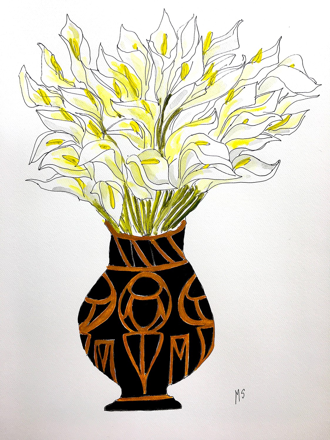 Manuel Santelices, Calla Lilly Manuel Santelices, Calla Lilly