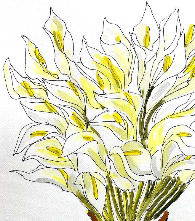 Manuel Santelices - Calla Lilly, Flowers 2021 Ink pen, and
