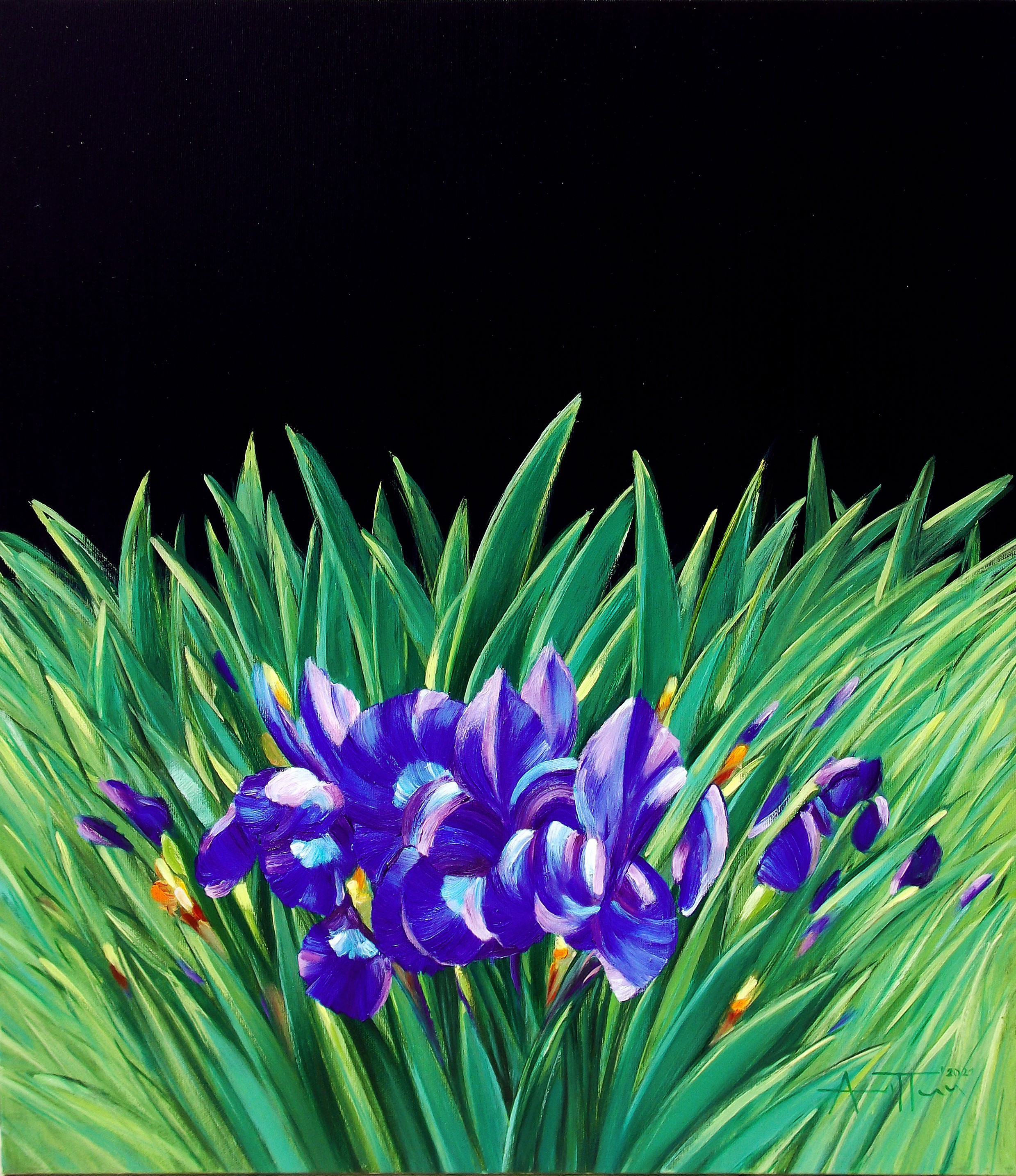 Angel Patchamanov, Irises Angel Patchamanov, Irises