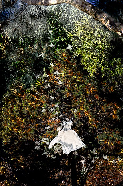 Hélène Hubert, Dance to the Stars Hélène Hubert, Dance to the Stars