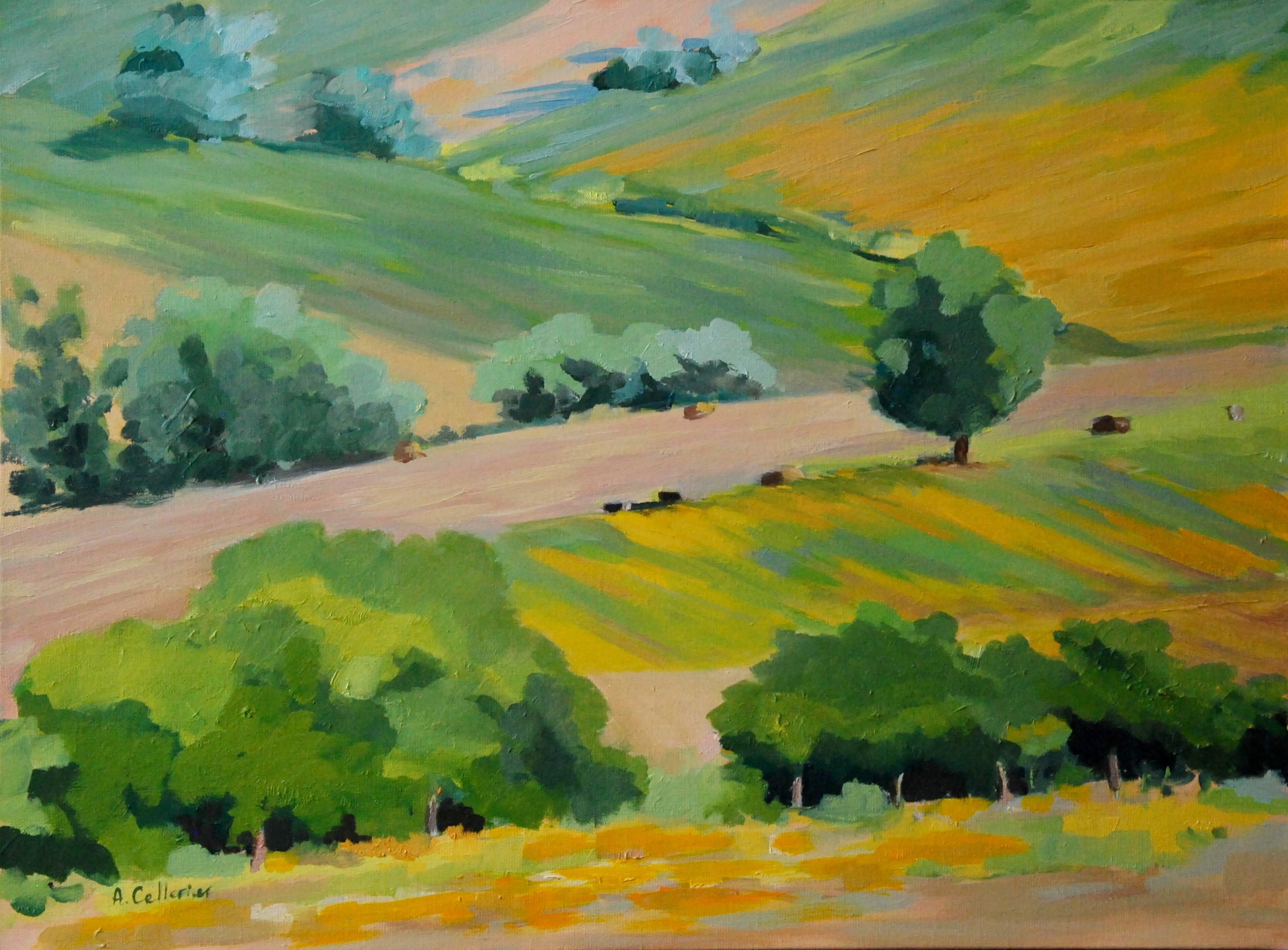 Agnès Cellérier, Pays de Cocagne Agnès Cellérier, Pays de Cocagne