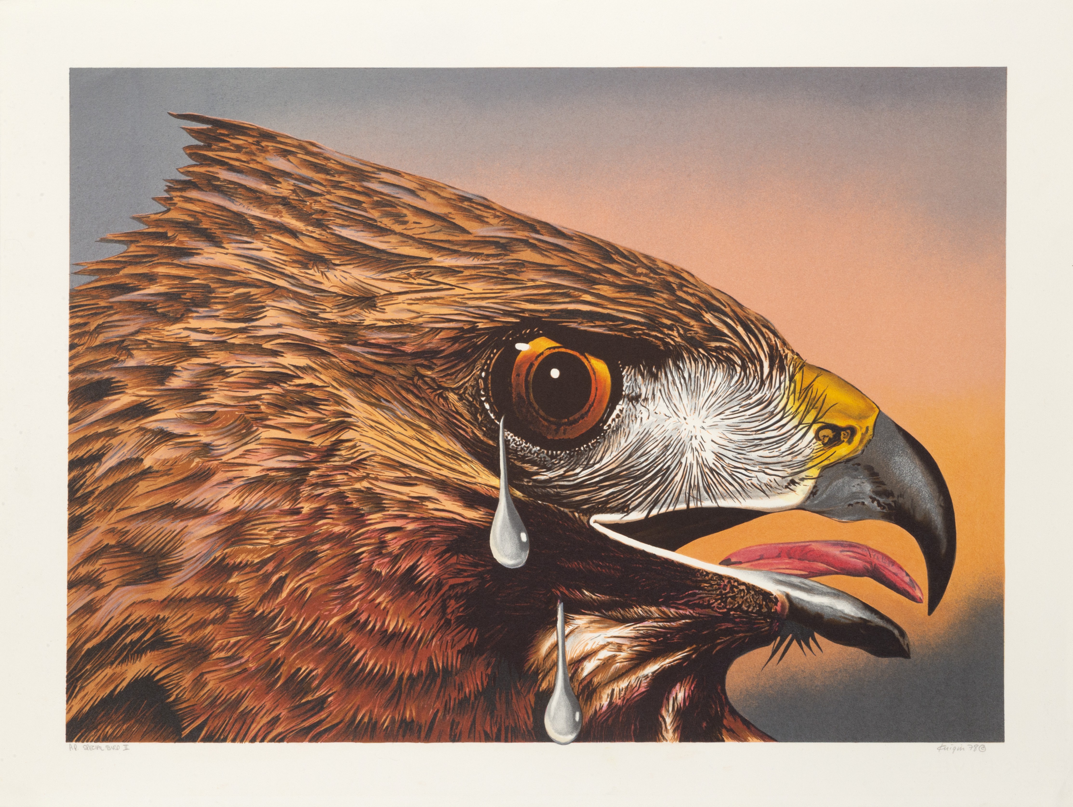 Michael Knigin, Special Bird II Michael Knigin, Special Bird II