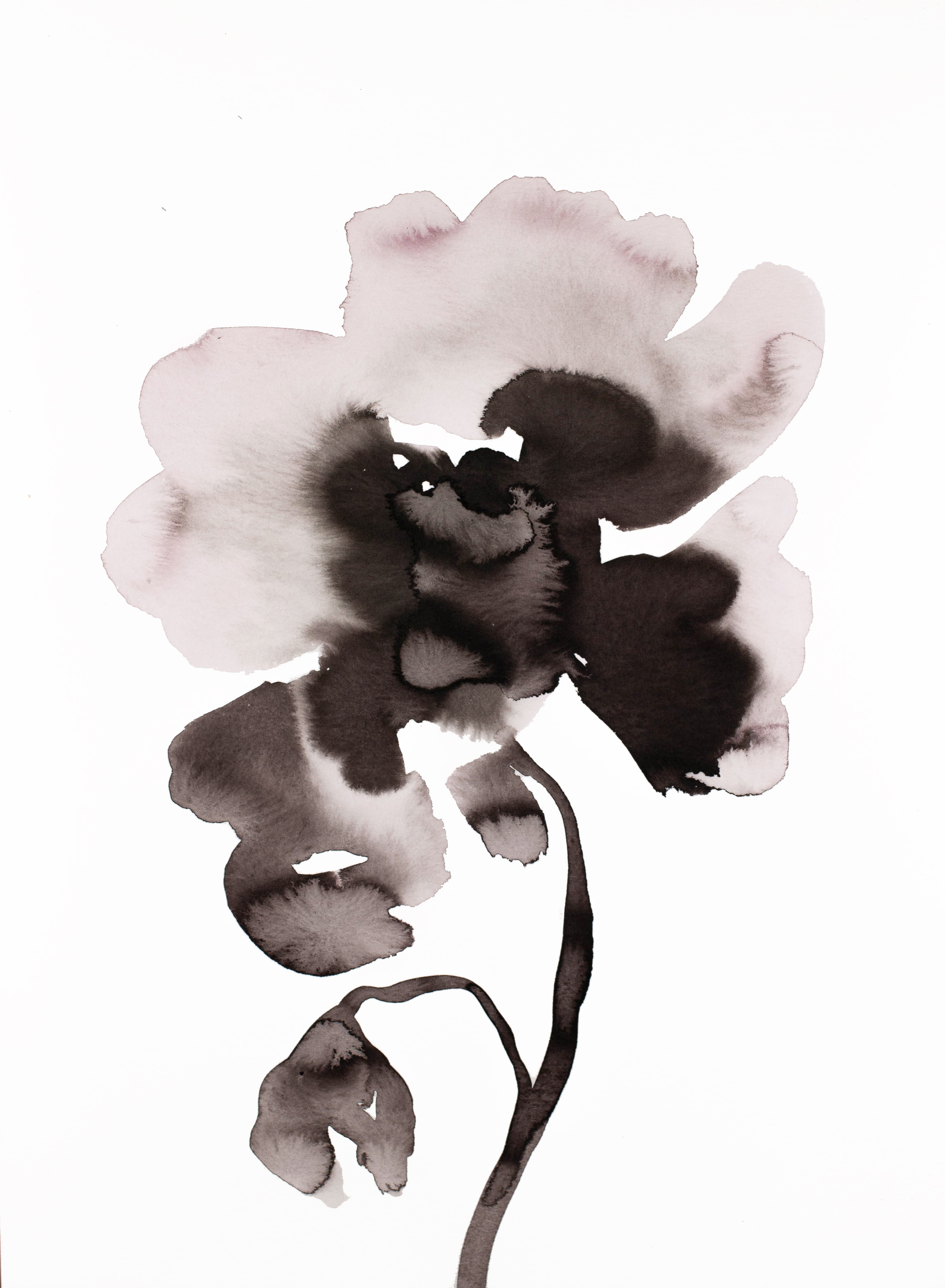 Elizabeth Becker, Peony No. 1 Elizabeth Becker, Peony No. 1