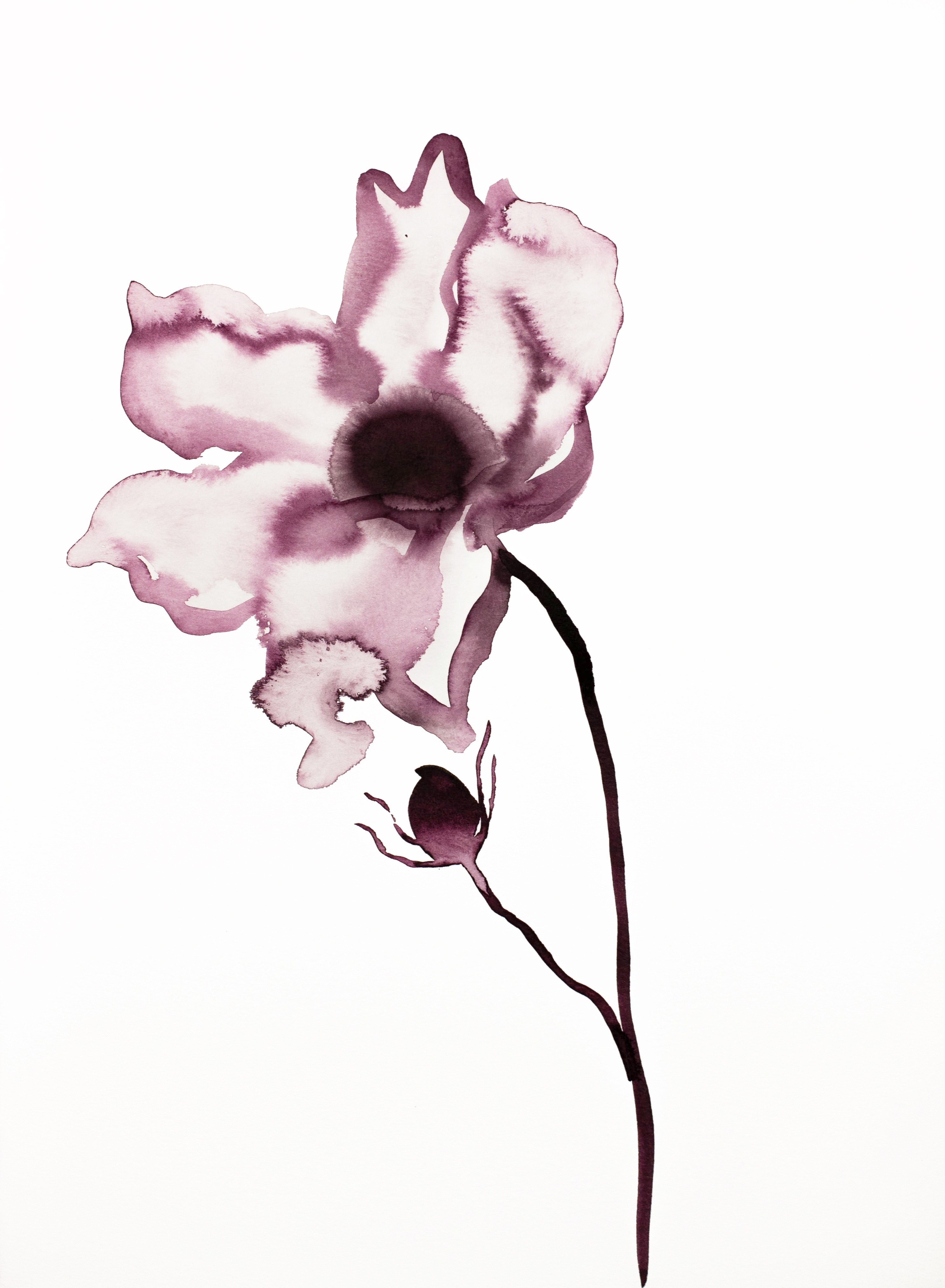 Elizabeth Becker, Poppy No. 3 Elizabeth Becker, Poppy No. 3