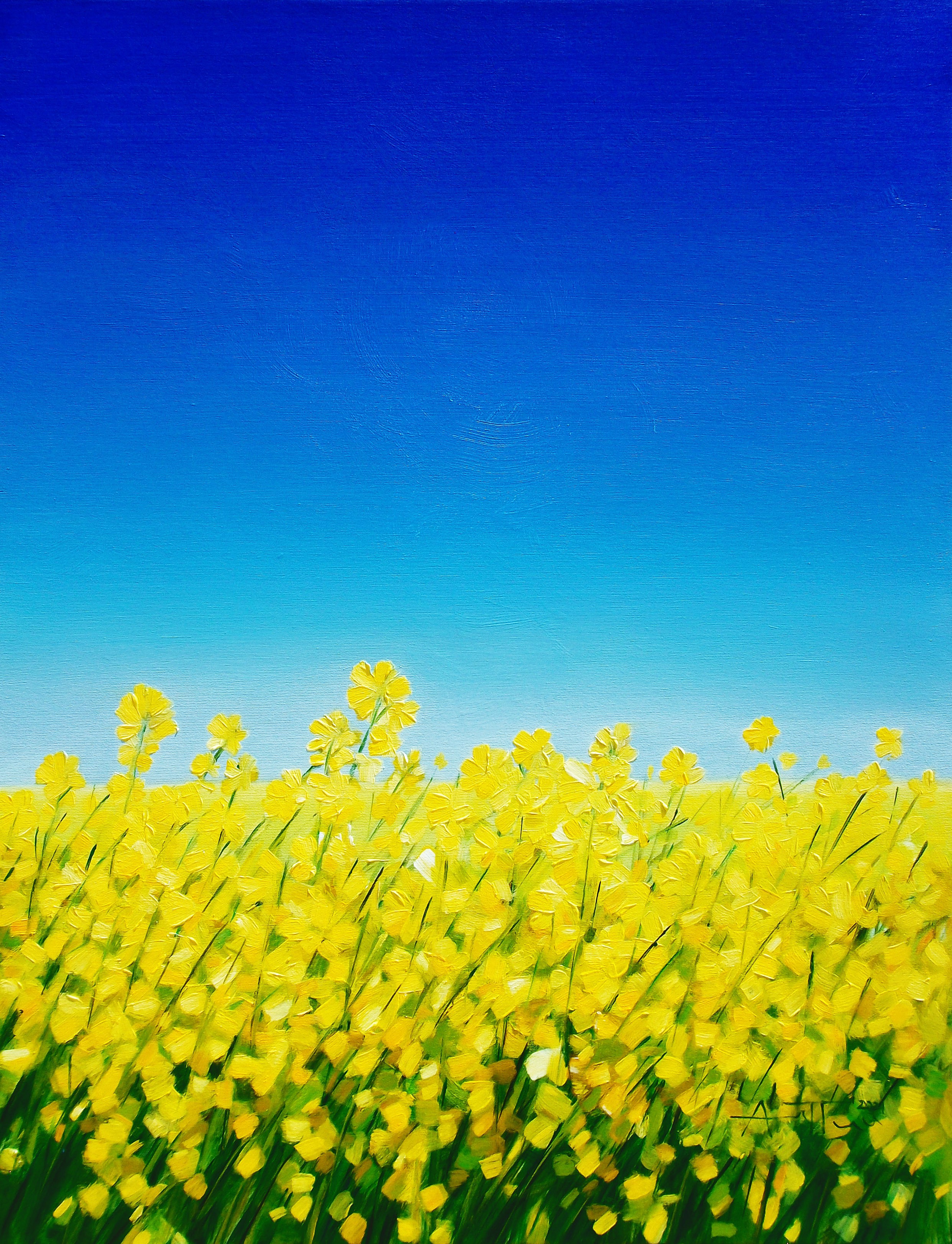 Angel Patchamanov, Flower meadows Angel Patchamanov, Flower meadows
