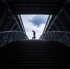Photographie, Le chien, Antoine Buttafoghi