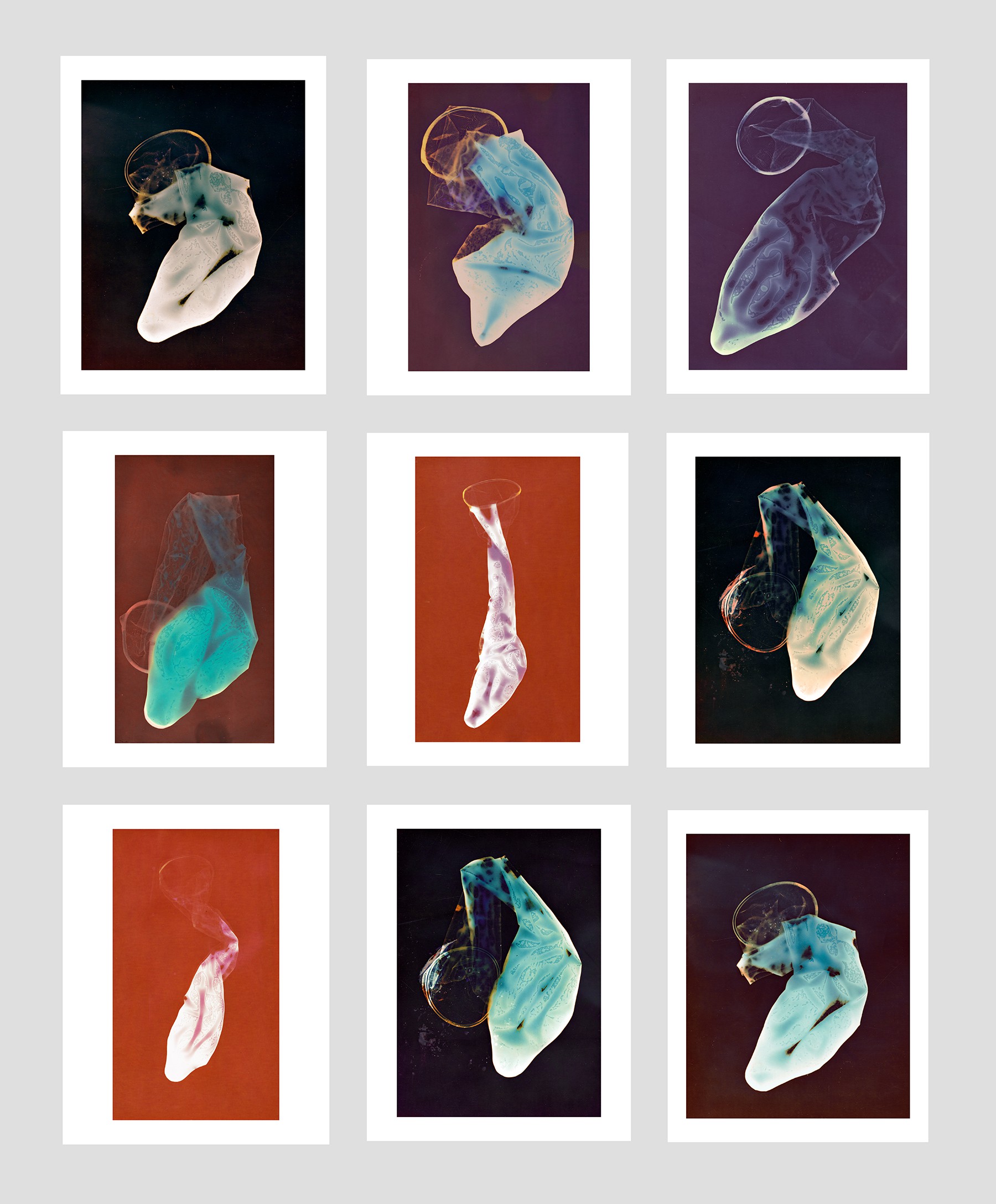 Javier Rey, Recordings Portfolio Javier Rey, Recordings Portfolio