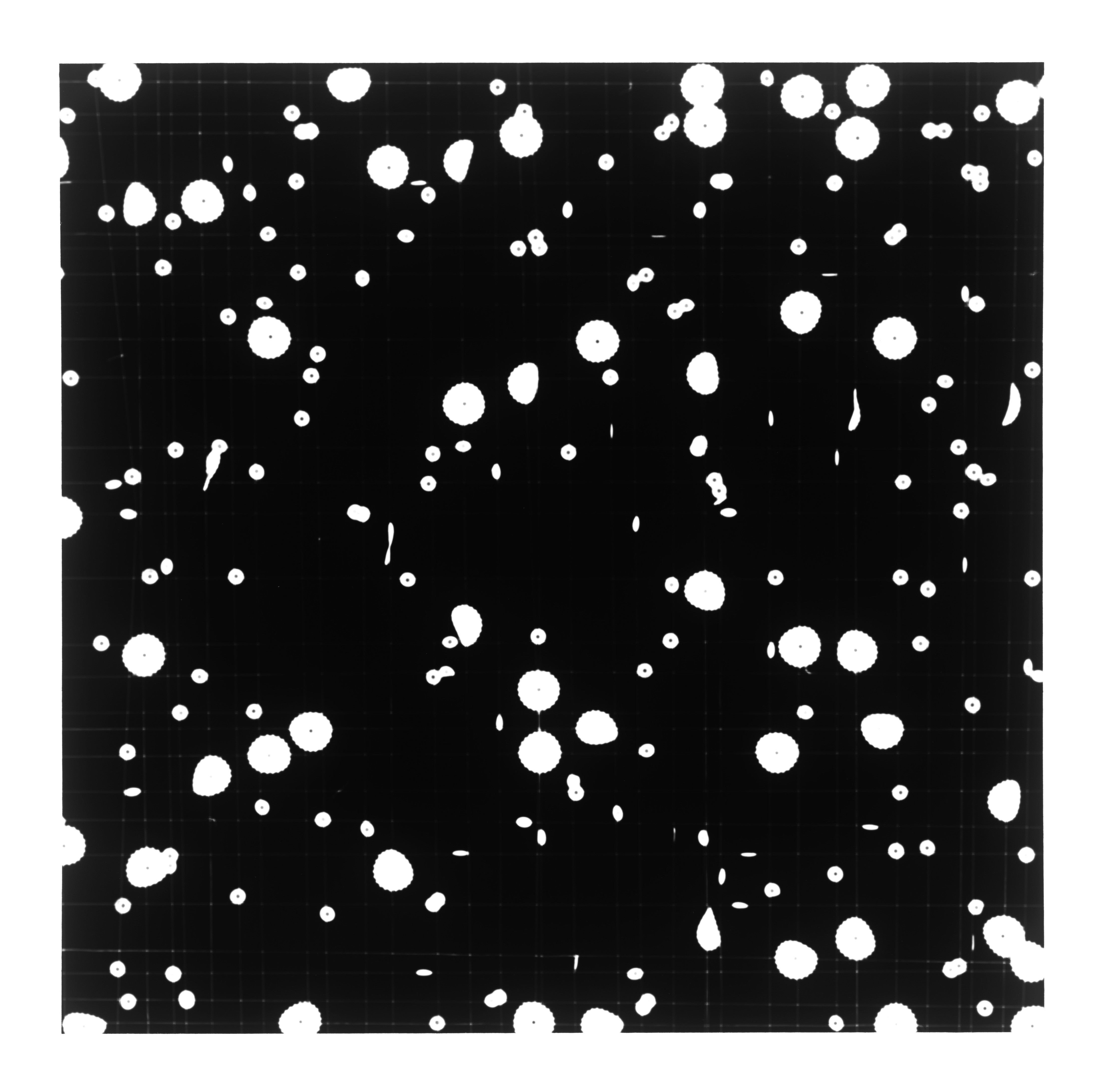 Tenesh Webber, Radius Tenesh Webber, Radius